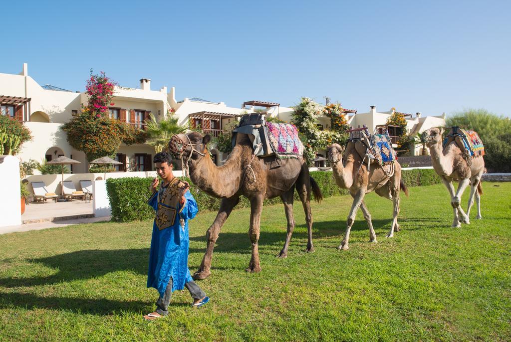Rebali Riads Sidi Kaouki Exteriér fotografie